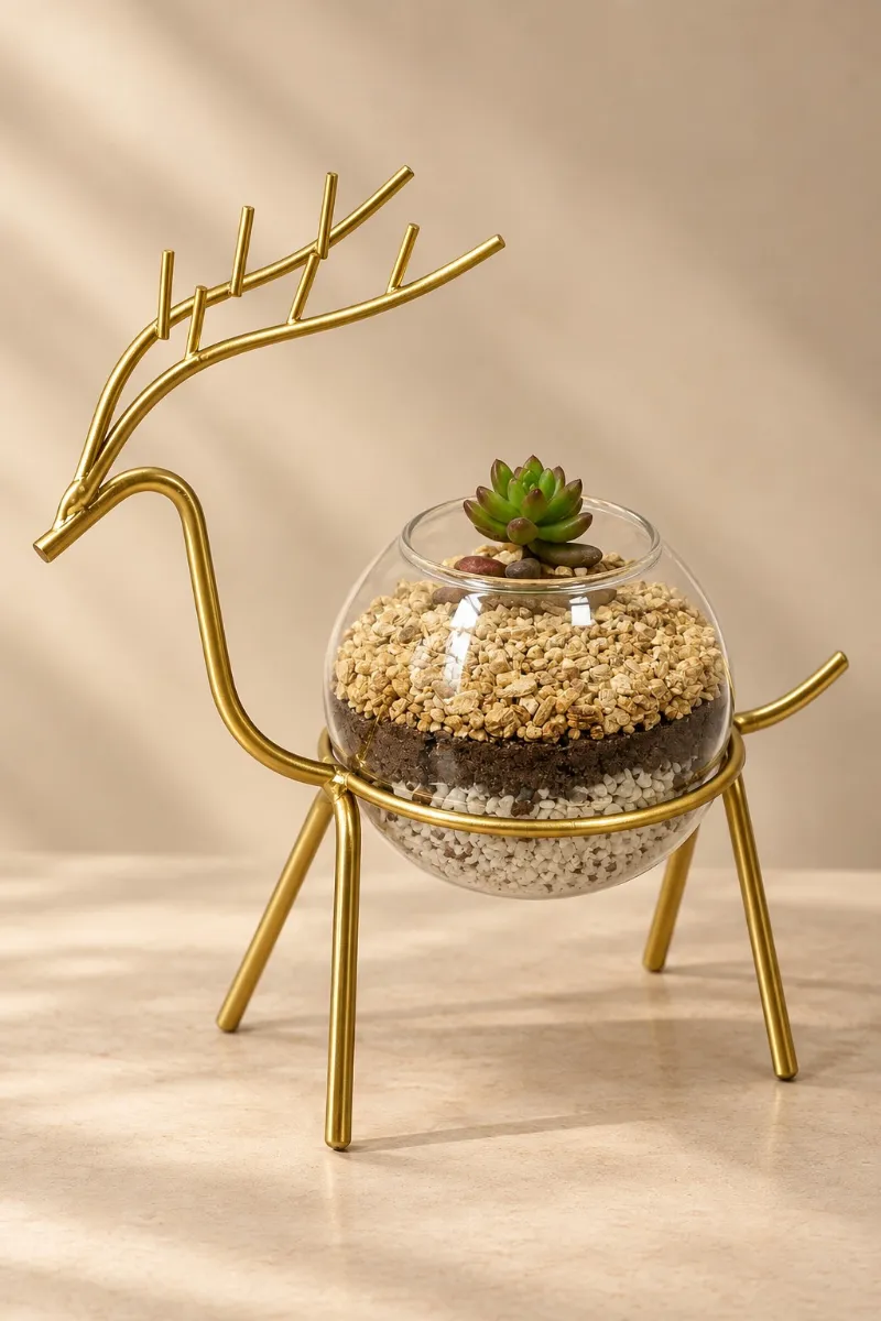 The Golden Stag Terrarium